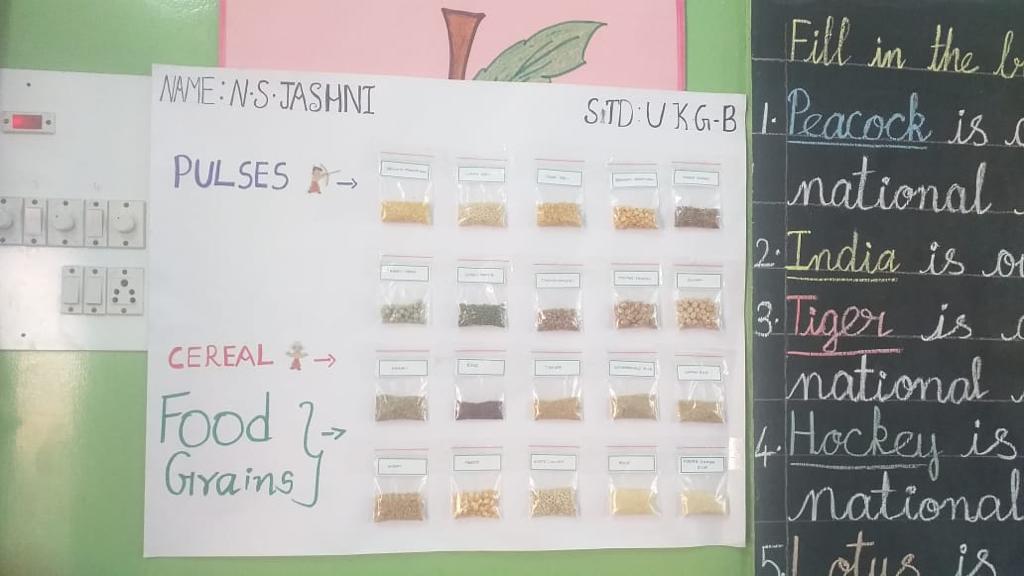 Pulses , Food Grains , Cereals , Sproute